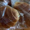 [달나라토끼] 소금버터롤(60g×3개) / 우리쌀로 만든 빵