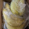 [산엔청]유기농 산청 국산 바나나 1.5kg ((매주 수요일 발송))