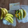 [산엔청]유기농 산청 국산 바나나 2.5kg (매주 수요일 발송)