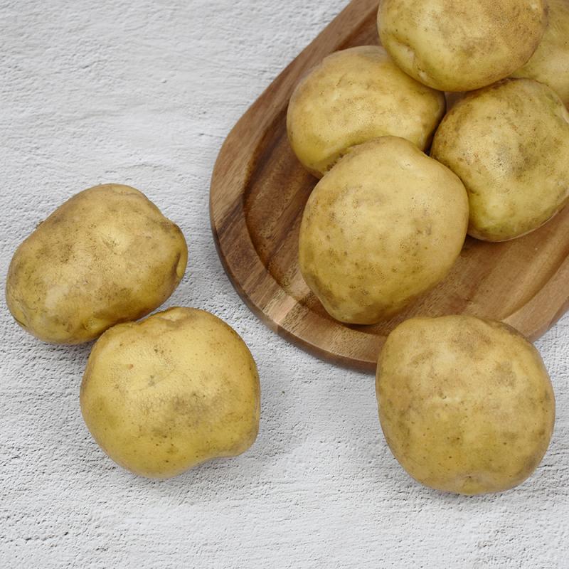 [부림영농조합법인] 기찬 감자 중(조림용) 3kg