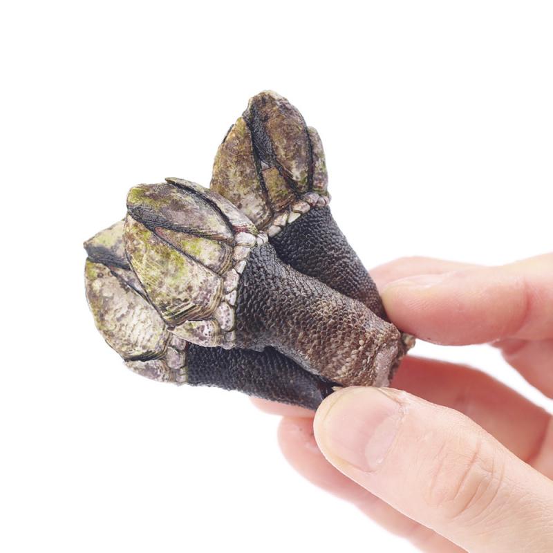 [숨비해물] 거제도 자연산 거북손 1kg