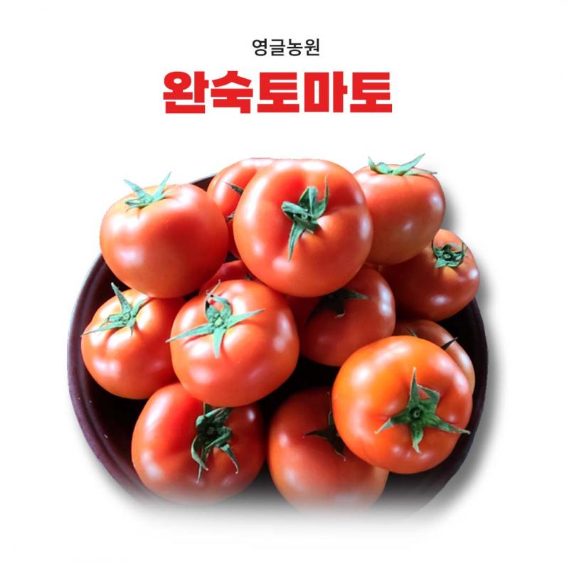 [공룡나라쇼핑몰] 토마토 5kg_영글농원