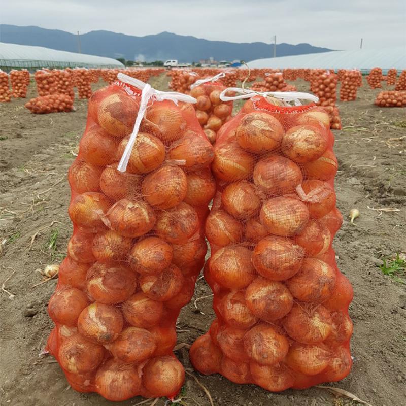 [비에이엠팜] 산지직송 고품질 양파 대특 10kg / 20kg