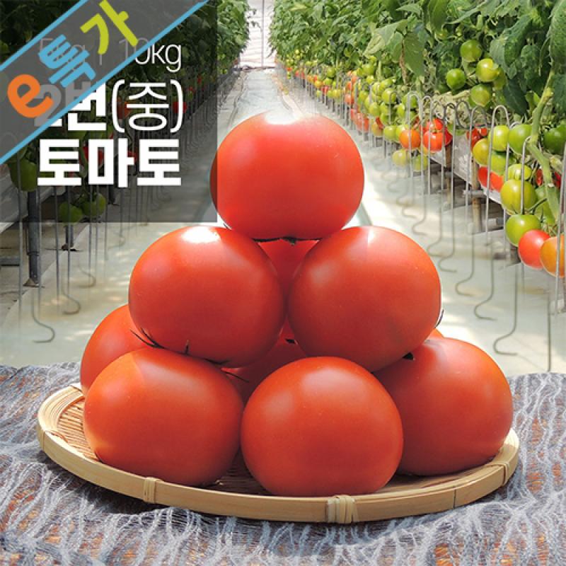 ★e특가★[토마토누리] 사천에서 재배한 GAP인증 착한 토마토 5kg