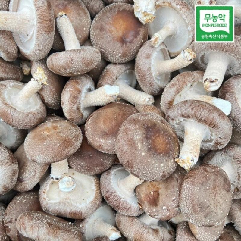 [밀양팜] 무농약 생 표고 버섯 1kg(중품)_송옥농장