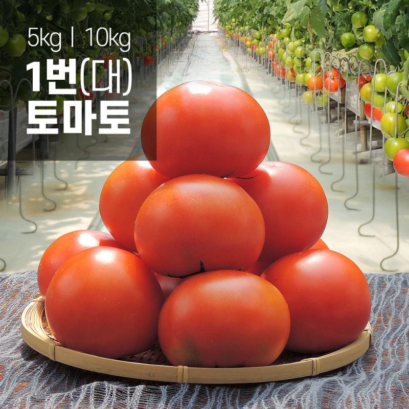 [토마토누리] 착한 토마토 1번 5kg (19~23과 내외)