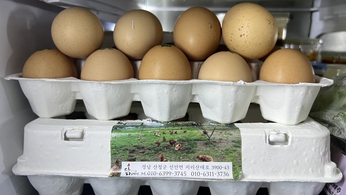 [산엔청] 자연방사 유정란(계란) 60구_닭 키우는 남박사