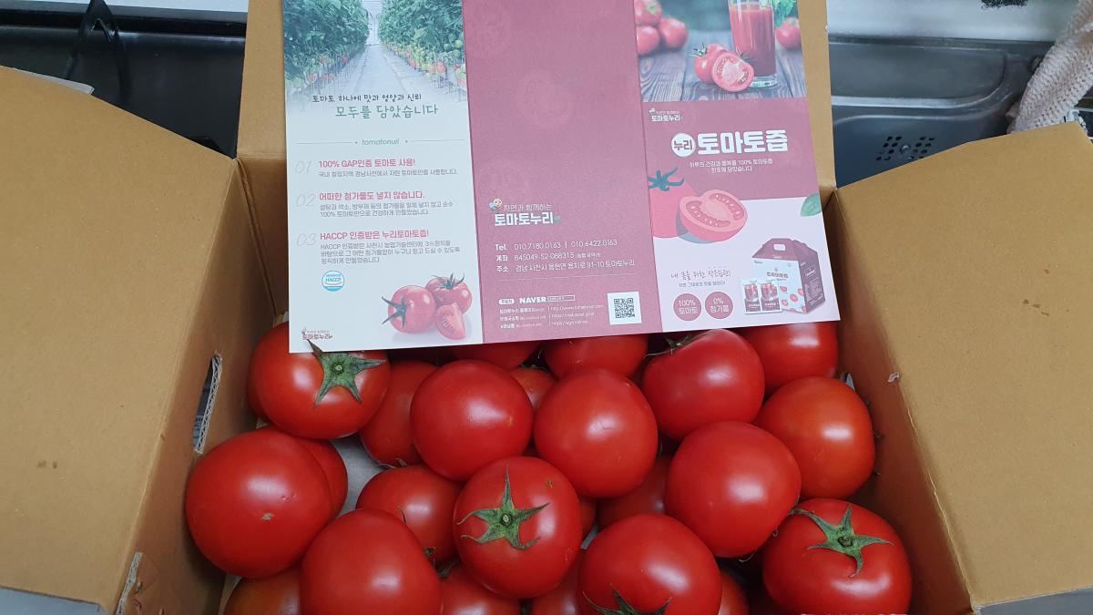 [토마토누리] 착한 토마토 3번 5kg (29~33과 내외)