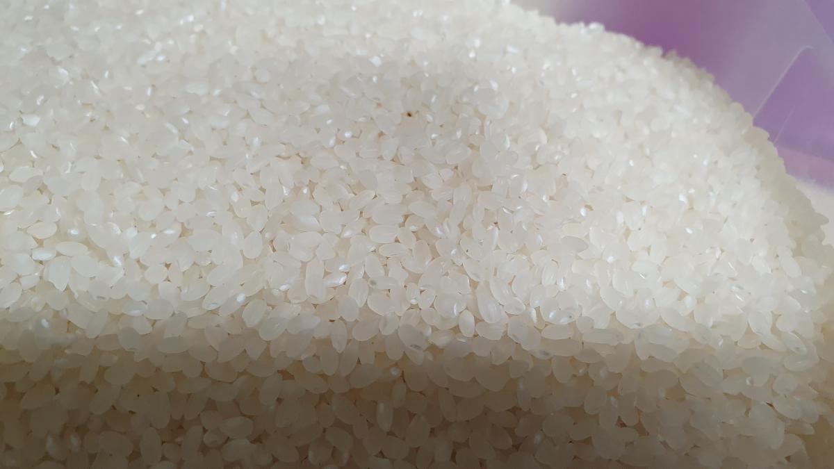 [함양농협미곡] 2023년산 지리산 함양쌀(백미) 10kg
