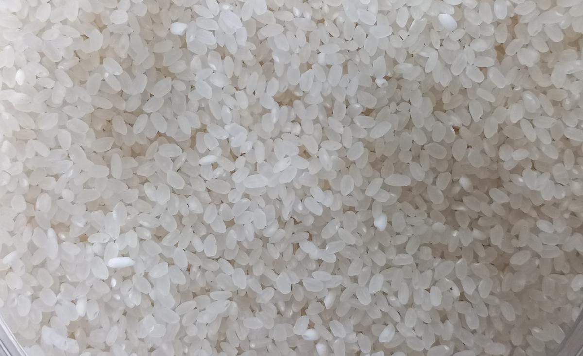 [밀양팜] 2023년 얼음골 쌀 20kg 당일도정_제일영농