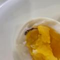 [산엔청] 블루베리 먹는 자연방사 유정란(계란) 40구_참샘골농장