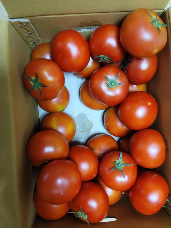 [토마토누리] 착한 토마토 2번 5kg (25~29과 내외)