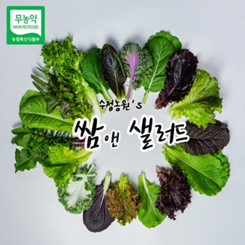 ◈2024 정기구독◈ [공룡나라쇼핑몰] 수정농원 무농약 쌈채소 쌈앤 샐러드 500g/800g/1kg