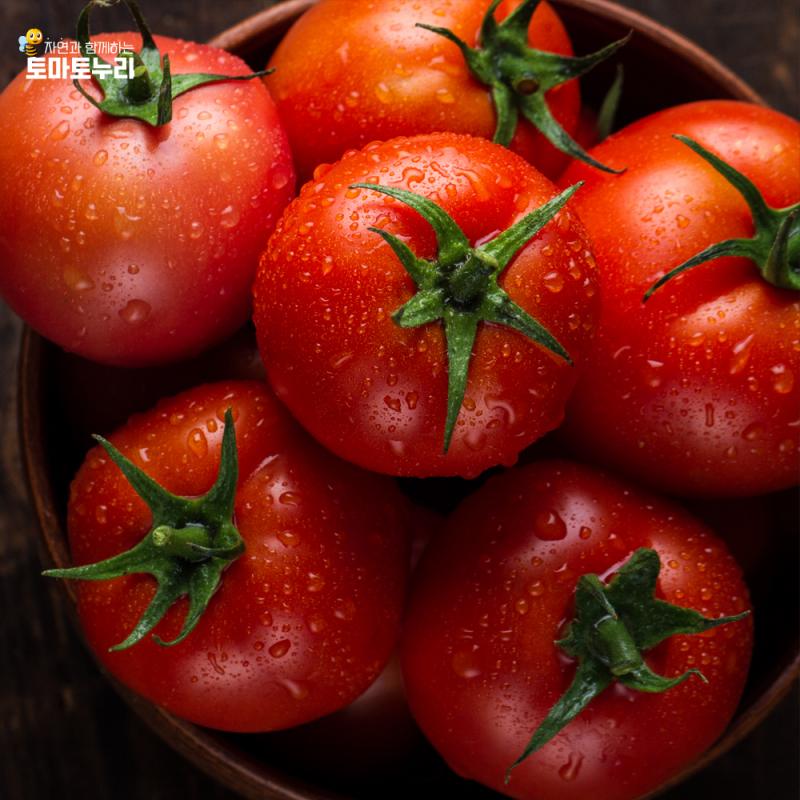[토마토누리] 착한 토마토 2번 5kg (25~29과 내외)