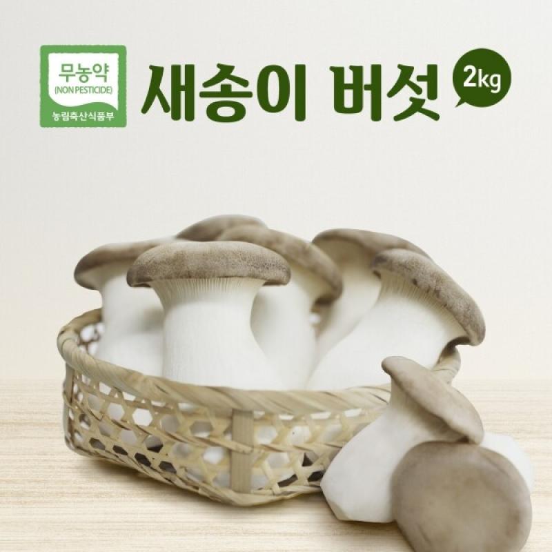[경남농업살림] 박재현 새송이버섯 2kg