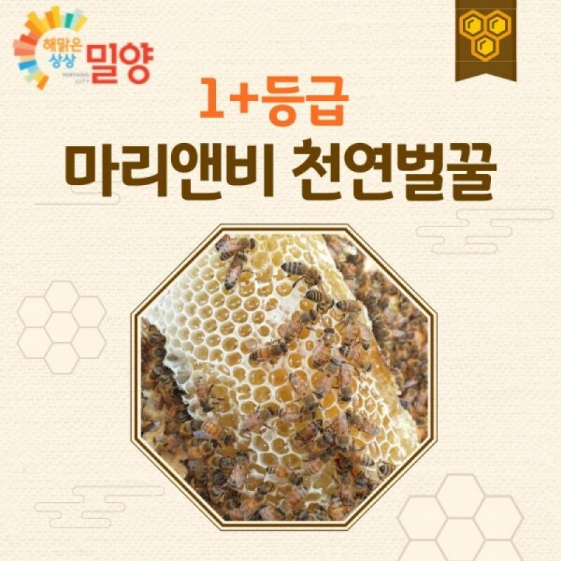 [밀양팜] 해맑은상상 밀양 아카시아꿀 1kg_마리비