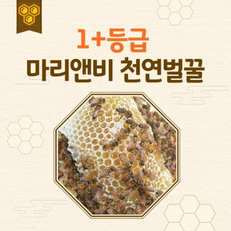 [밀양팜] 밤꿀 750g_마리비