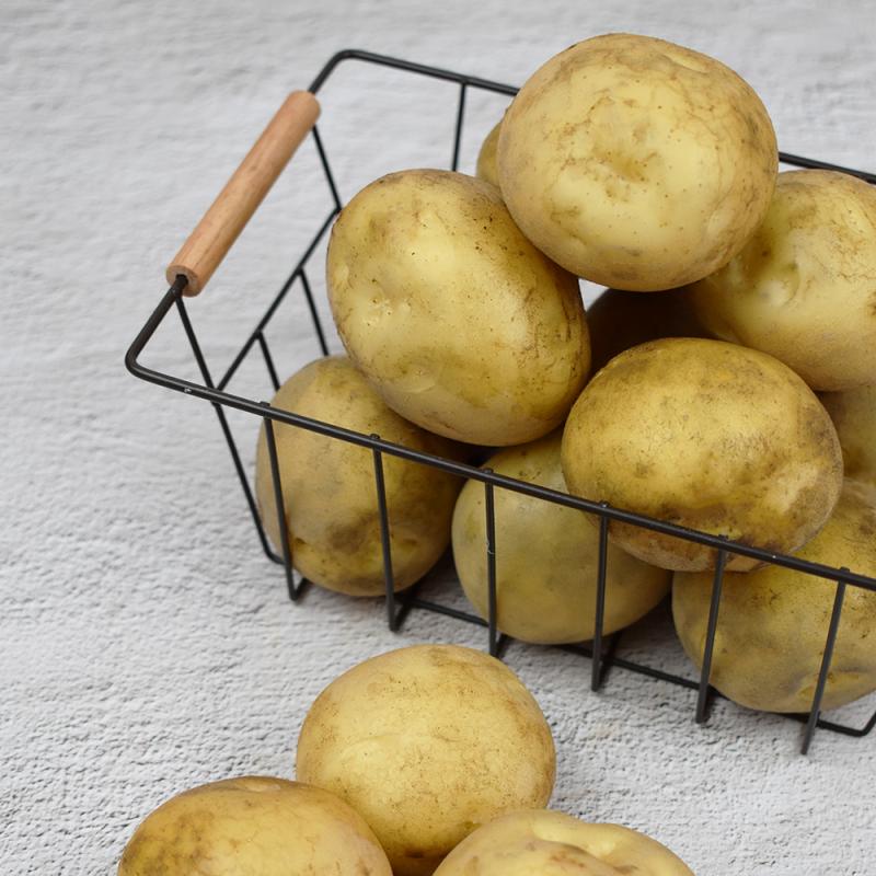 [부림영농조합법인] 기찬 감자 상(구이용) 3kg