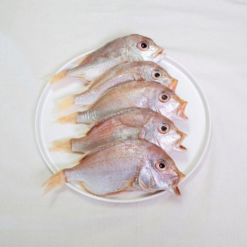 [맑은푸드] 남해안 삼천포 용궁수산시장 반건조 생선 꽃돔/볼락/백조기