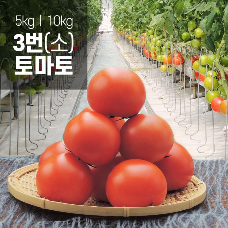 [토마토누리] 착한 토마토 3번 5kg (29~33과 내외)