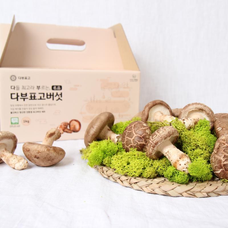 [다부] 무농약 인증 생표고버섯 1kg / 2kg