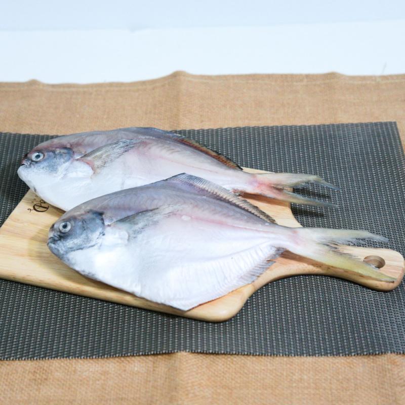 ◈2024 정기구독◈ [윤수산] 반건조 생선 세트2 (나막스,민어조기,볼락,가자미,조기 등 중 랜덤 5종)