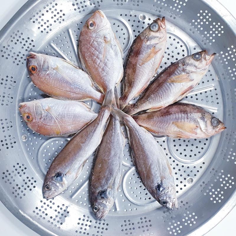[맑은푸드] 남해안 삼천포 용궁수산시장 반건조 생선 꽃돔/볼락/백조기