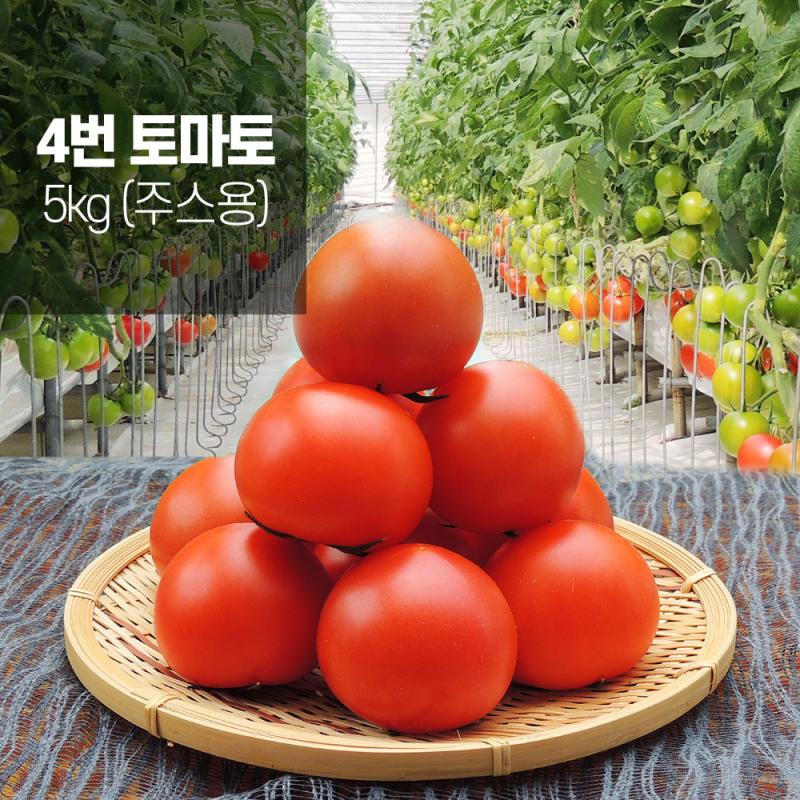 [토마토누리] 착한 토마토 4번(쥬스용) 5kg/10kg