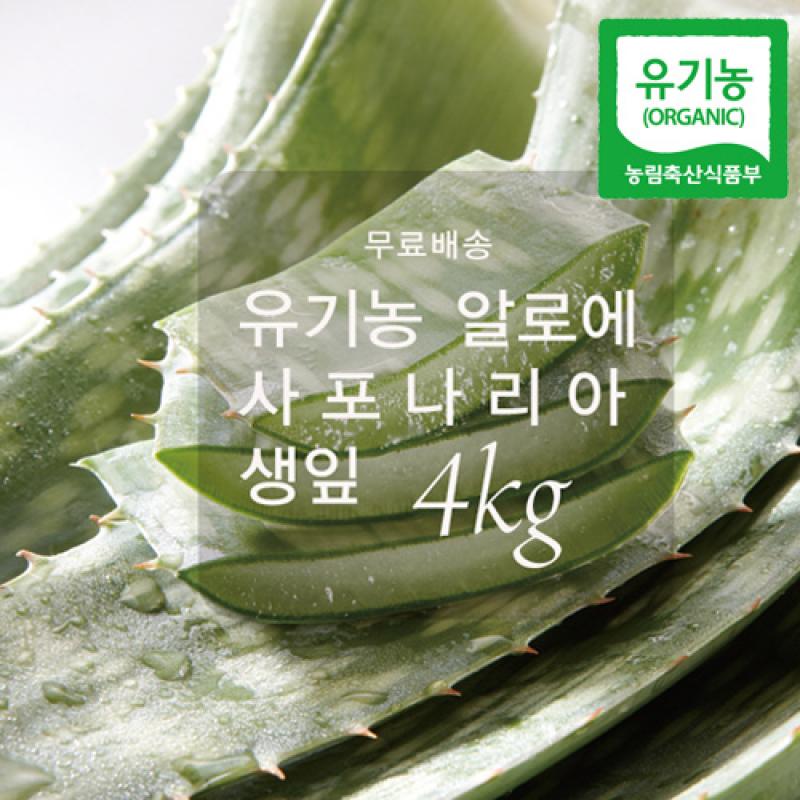 [한림알로에] 가야뜰 친환경(유기농) 알로에 사포나리아 생잎 4kg
